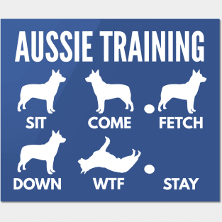 Aussie Training Aussie Dog Tricks Posters and Art